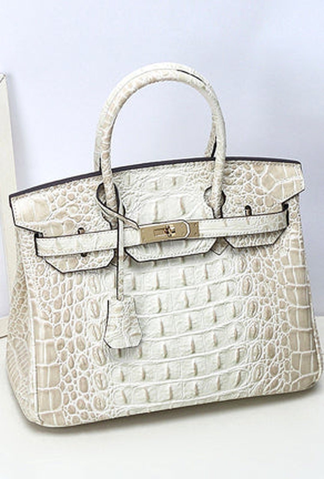 baez - ombre croc birkin bag