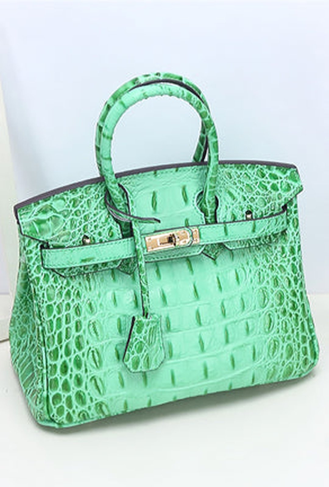 baez - ombre croc birkin bag